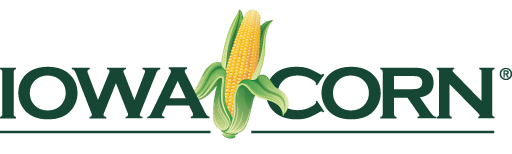 Iowa Corn